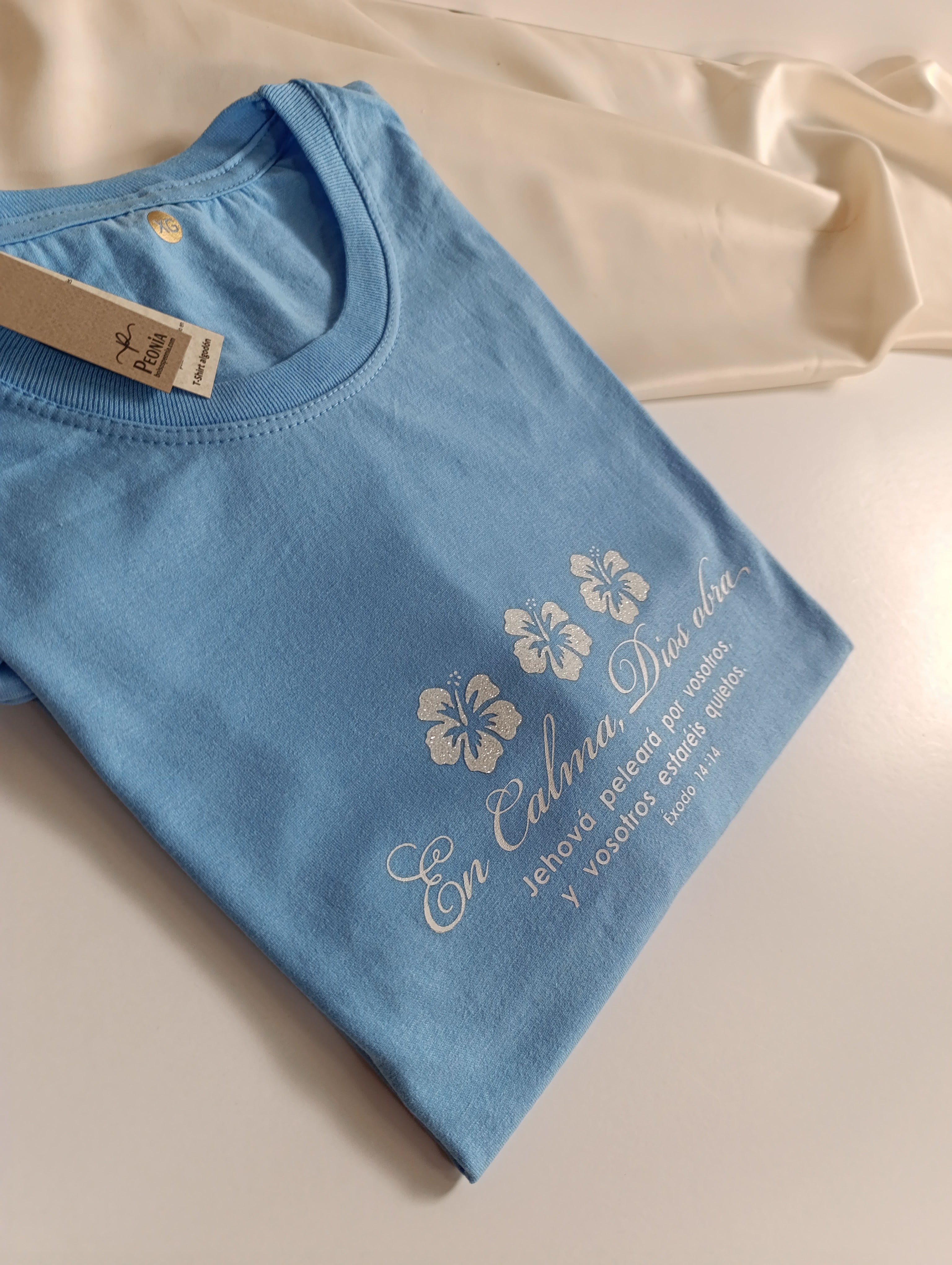 Remera T-Shirt con estampado, color cielo.