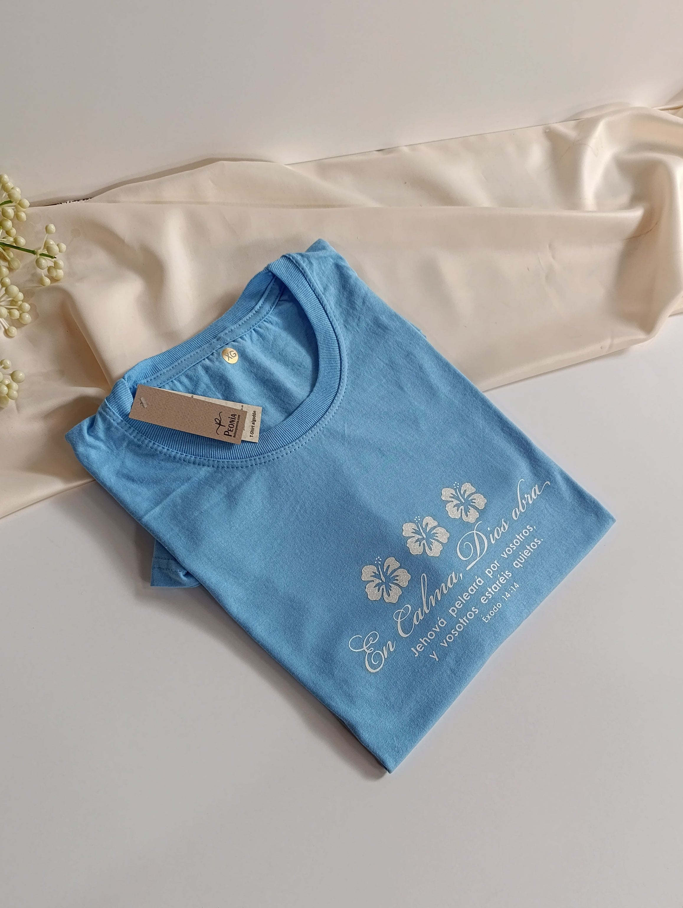 Remera T-Shirt con estampado, color cielo.